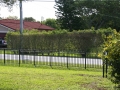 FENCE WELDED 9
